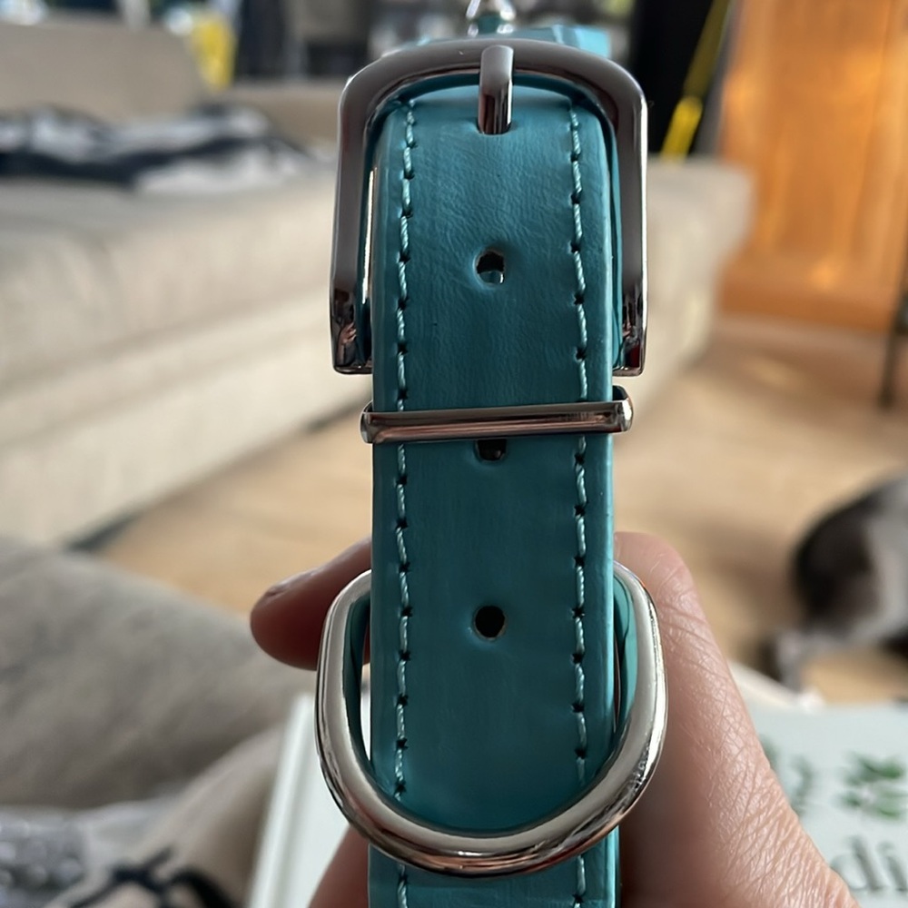 Light Blue Collar - Picture 2 of 5